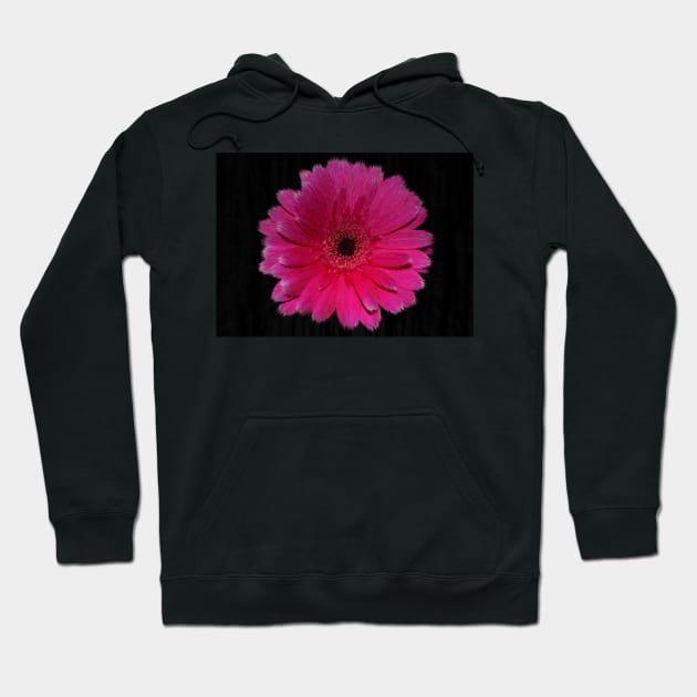 Single Hot Pink Gerbera Hoodie by avrilharris